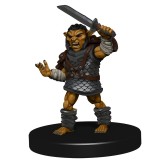 WIZKIDS ICONS OF THE REALMS GOBLIN WARBAND SET MINIATURES