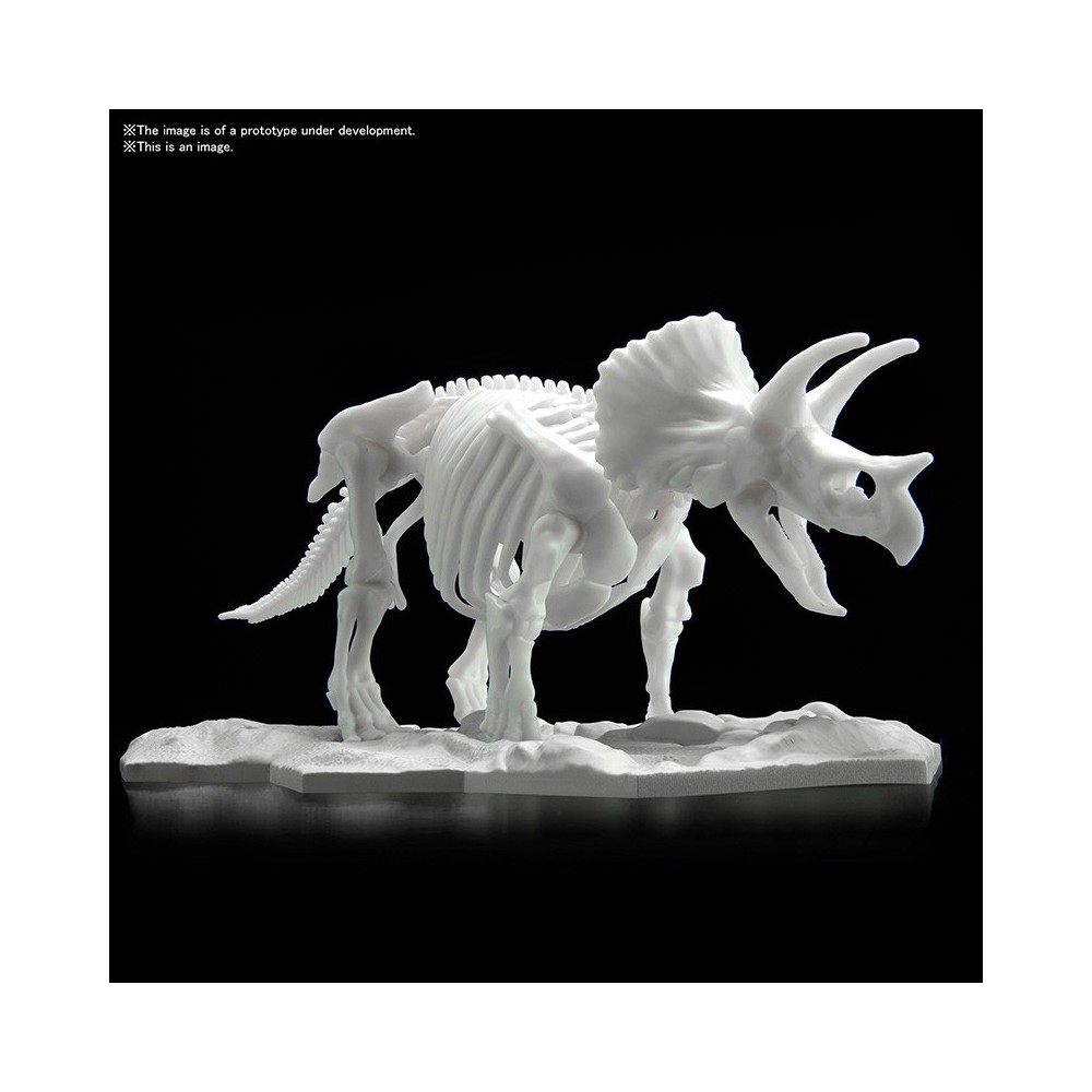 BANDAI DINOSAUR LIMEX SKELETON TRICERATOPS MODEL KIT FIGURE