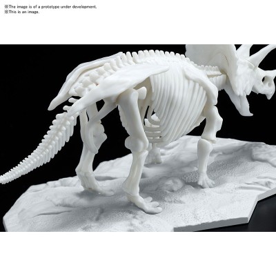 BANDAI DINOSAUR LIMEX SKELETON TRICERATOPS MODEL KIT FIGURE