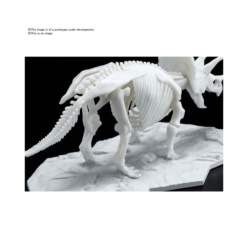 BANDAI DINOSAUR LIMEX SKELETON TRICERATOPS MODEL KIT FIGURE