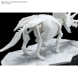 BANDAI DINOSAUR LIMEX SKELETON TRICERATOPS MODEL KIT FIGURE