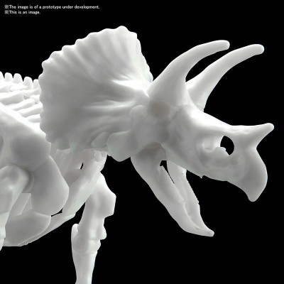 BANDAI DINOSAUR LIMEX SKELETON TRICERATOPS MODEL KIT FIGURE