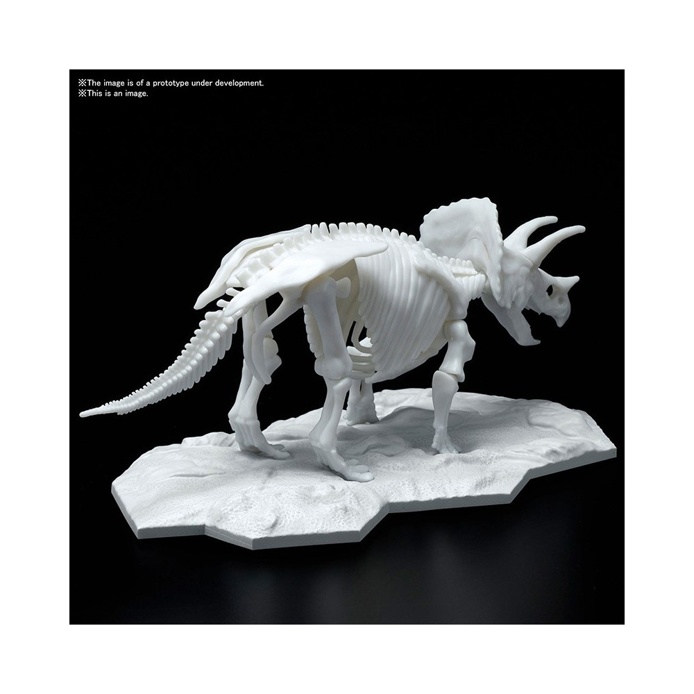 BANDAI DINOSAUR LIMEX SKELETON TRICERATOPS MODEL KIT FIGURE
