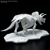 BANDAI DINOSAUR LIMEX SKELETON TRICERATOPS MODEL KIT FIGURE
