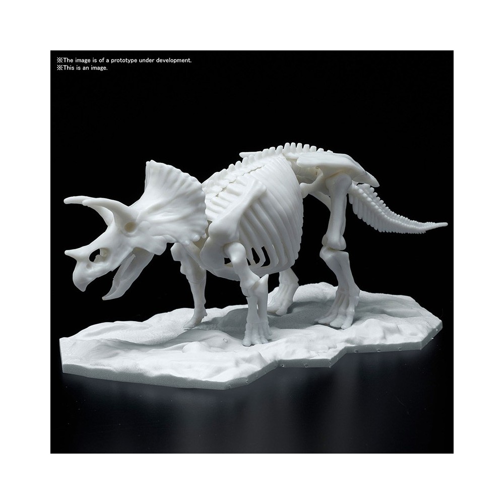 BANDAI DINOSAUR LIMEX SKELETON TRICERATOPS MODEL KIT FIGURE