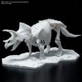 BANDAI DINOSAUR LIMEX SKELETON TRICERATOPS MODEL KIT FIGURE