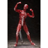 HUMAN ANATOMICAL MODEL FIGMA ACTION FIGURE FREEING