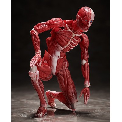 HUMAN ANATOMICAL MODEL FIGMA ACTION FIGURE FREEING