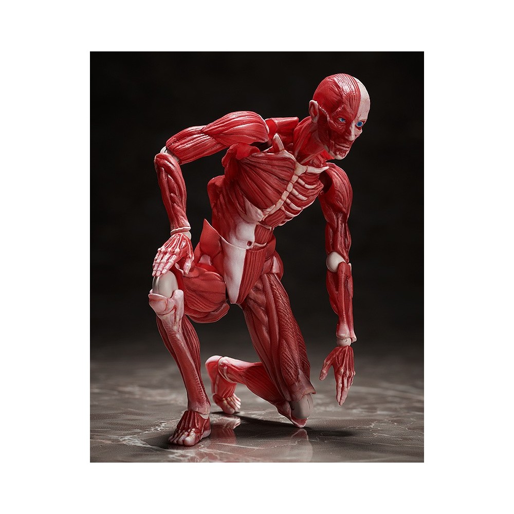 HUMAN ANATOMICAL MODEL FIGMA ACTION FIGURE FREEING