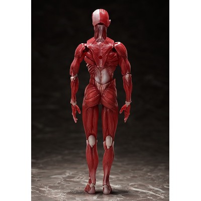 HUMAN ANATOMICAL MODEL FIGMA ACTION FIGURE FREEING