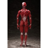 HUMAN ANATOMICAL MODEL FIGMA ACTION FIGURE FREEING