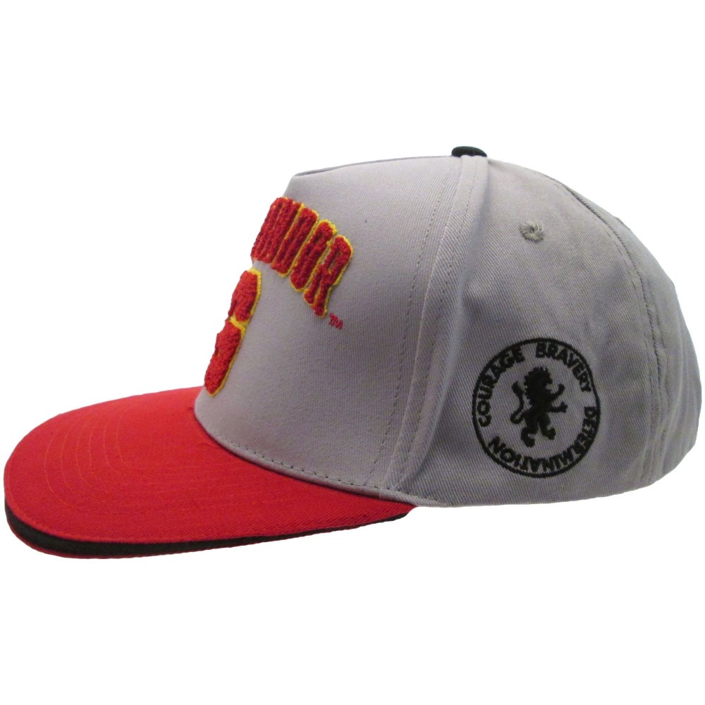 CAPPELLO BASEBALL CAP HARRY POTTER GRYFFINDOR UFFICIALE SCRITTA RICAMATA