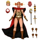 TEENAGE MUTANT NINJA TURTLES RENET ULTIMATE ACTION FIGURE NECA