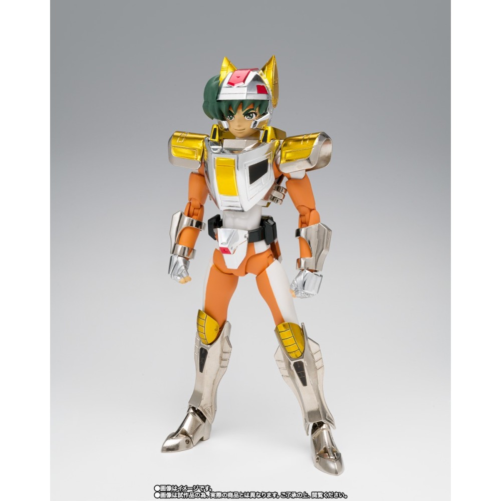 BANDAI SAINT SEIYA MYTH CLOTH STEEL SAINT LAND CLOTH DAICHI REVIVAL ACTION FIGURE