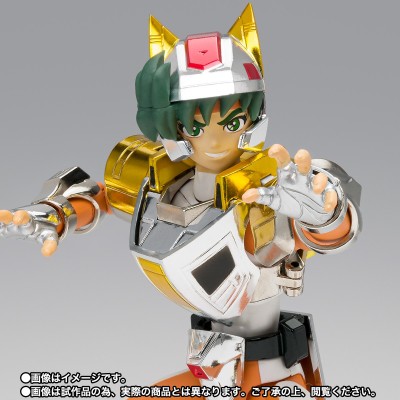 BANDAI SAINT SEIYA MYTH CLOTH STEEL SAINT LAND CLOTH DAICHI REVIVAL ACTION FIGURE