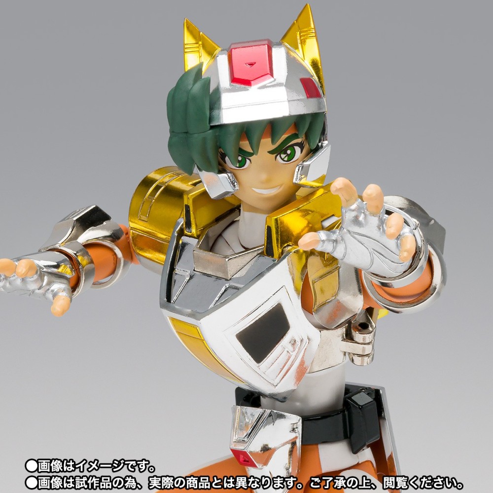 BANDAI SAINT SEIYA MYTH CLOTH STEEL SAINT LAND CLOTH DAICHI REVIVAL ACTION FIGURE