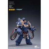 WARHAMMER 40K ULTRAMARINES AGGRESSORS PACK ACTION FIGURE JOY TOY (CN)