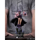 MASTERS OF THE UNIVERSE EVIL-LYN BDS ART SCALE 1/10 STATUA FIGURE IRON STUDIOS