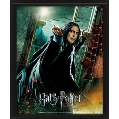 HARRY POTTER SEVERUS PITON LENTICULAR 3D POSTER 25X20CM PYRAMID INTERNATIONAL
