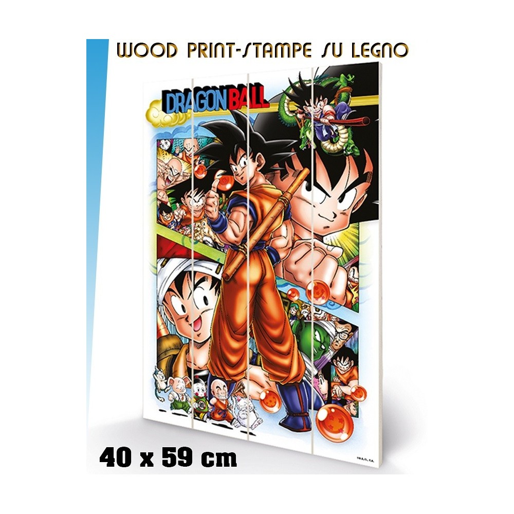 DRAGON BALL COMIC STRIP STAMPA SU LEGNO 60X40CM PYRAMID INTERNATIONAL