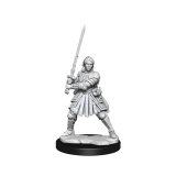 WIZKIDS DUNGEONS AND DRAGONS FRAMEWORKS HUMAN FIGHTER FEMALE MODEL KIT MINIATURE FIGURE