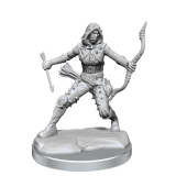 WIZKIDS DUNGEONS AND DRAGONS FRAMEWORKS HUMAN ROGUE FEMALE MODEL KIT MINIATURE FIGURE