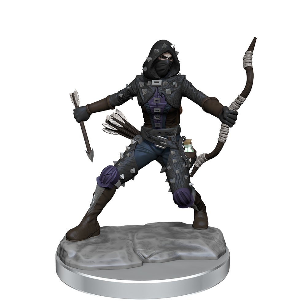 WIZKIDS DUNGEONS AND DRAGONS FRAMEWORKS HUMAN ROGUE FEMALE MODEL KIT MINIATURE FIGURE