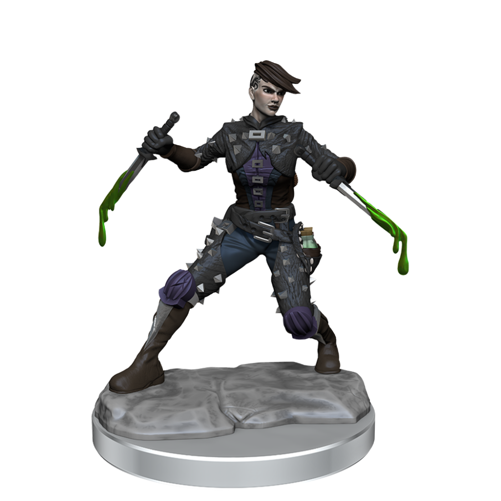 WIZKIDS DUNGEONS AND DRAGONS FRAMEWORKS HUMAN ROGUE FEMALE MODEL KIT MINIATURE FIGURE