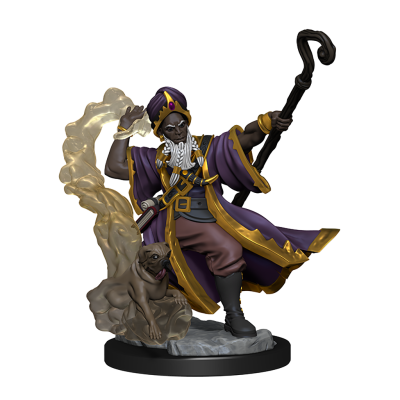 DUNGEONS AND DRAGONS FRAMEWORKS HUMAN WIZARD MALE MODEL KIT MINIATURE FIGURE WIZKIDS