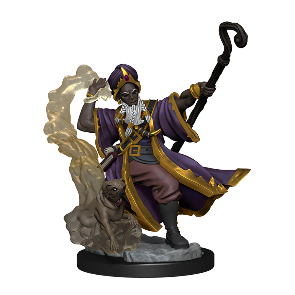 DUNGEONS AND DRAGONS FRAMEWORKS HUMAN WIZARD MALE MODEL KIT MINIATURE FIGURE WIZKIDS