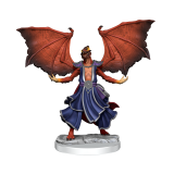 WIZKIDS DUNGEONS AND DRAGONS FRAMEWORKS DRAGONBORN SORCERER FEMALE MODEL KIT MINIATURE FIGURE