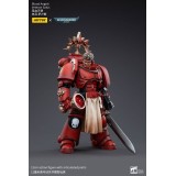JOY TOY (CN) WARHAMMER 40000 BLOOD ANGELS VETERAN SALUS ACTION FIGURE