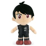 CAPTAIN TSUBASA MARK LANDERS 30CM PELUCHES FIGURE BARRADO