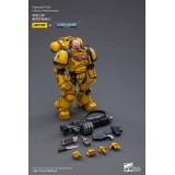 WARHAMMER 40000 IMPERIAL FISTS HEAVY INTERCESSORS 02 ACTION FIGURE JOY TOY (CN)