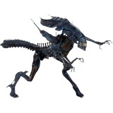 NECA ALIENS XENOMORPH QUEEN DELUXE BOX ACTION FIGURE