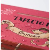 GRUPO ERIK HARRY POTTER XL DESK MAT