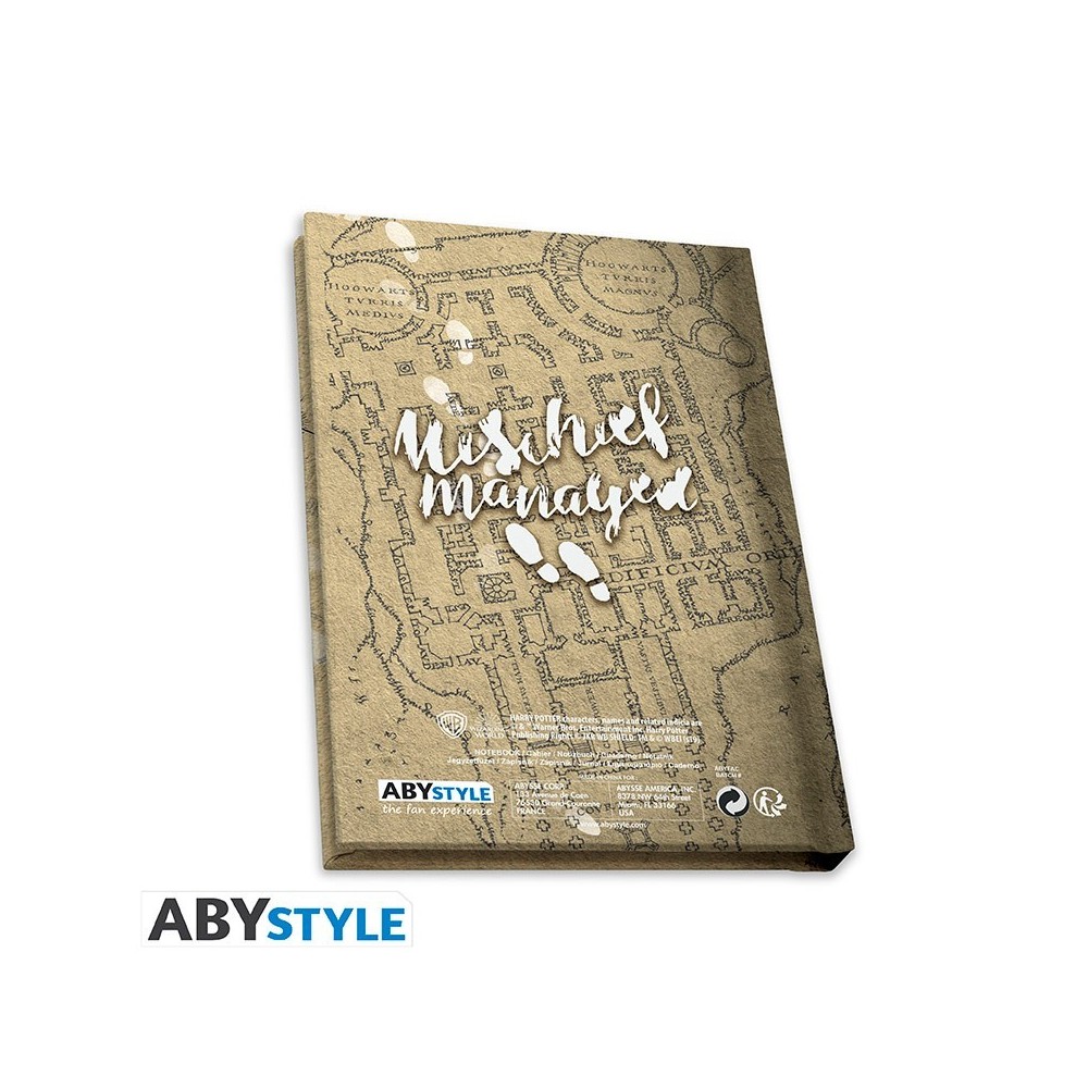 ABYSTYLE HARRY POTTER GRYFFINDOR GIFT SET GLASS PIN AND NOTEBOOK