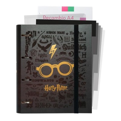 HARRY POTTER OCCHIALI RACCOGLITORE AD ANELLI PREMIUM SET GRUPO ERIK