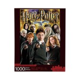 HARRY POTTER CAST 1000 PEZZI PUZZLE AQUARIUS ENT