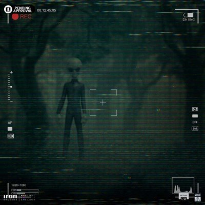 I WANT TO BELIEVE GREY ALIEN ART SCALE 1/10 STATUA FIGURE IRON STUDIOS