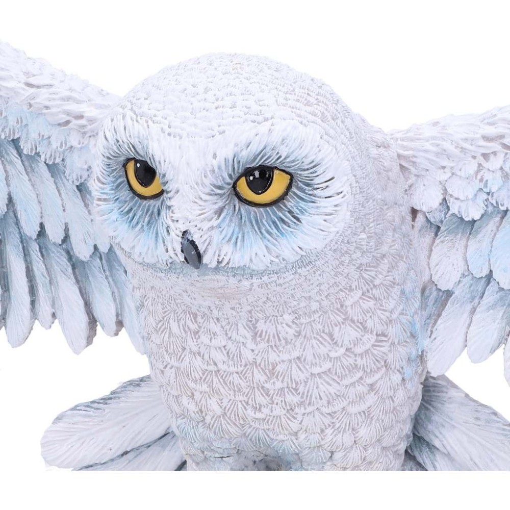 NEMESIS NOW HARRY POTTER HEDWIG WALL PLAQUE 45CM RESIN FIGURE