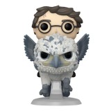 FUNKO POP! HARRY POTTER E FIEROBECCO FIGURE FUNKO