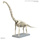 PLANNOSAURUS BRACHIOSAURUS MODEL KIT ACTION FIGURE BANDAI