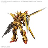 BANDAI REAL GRADE AKATSUKI GUNDAM OOWASHI PACK 1/144 MODEL KIT FIGURE
