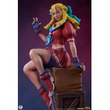 PCS PREMIUM COLLECTIBLES STUDIOS STREET FIGHTER KARIN AND E.HONDA STATUE FIGURE