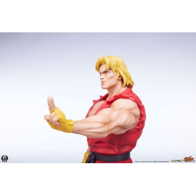 PCS PREMIUM COLLECTIBLES STUDIOS STREET FIGHTER KEN AND VEGA STATUE FIGURE