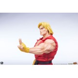 PCS PREMIUM COLLECTIBLES STUDIOS STREET FIGHTER KEN AND VEGA STATUE FIGURE