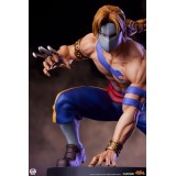 STREET FIGHTER KEN AND VEGA STATUA FIGURE PCS PREMIUM COLLECTIBLES STUDIOS