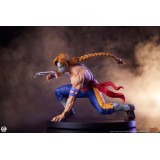 PCS PREMIUM COLLECTIBLES STUDIOS STREET FIGHTER KEN AND VEGA STATUE FIGURE