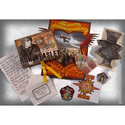 HARRY POTTER - RON WEASLEY FILM ARTEFACT BOX NOBLE COLLECTIONS